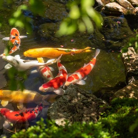 Suiun Hotel Hakone Kültér fotó